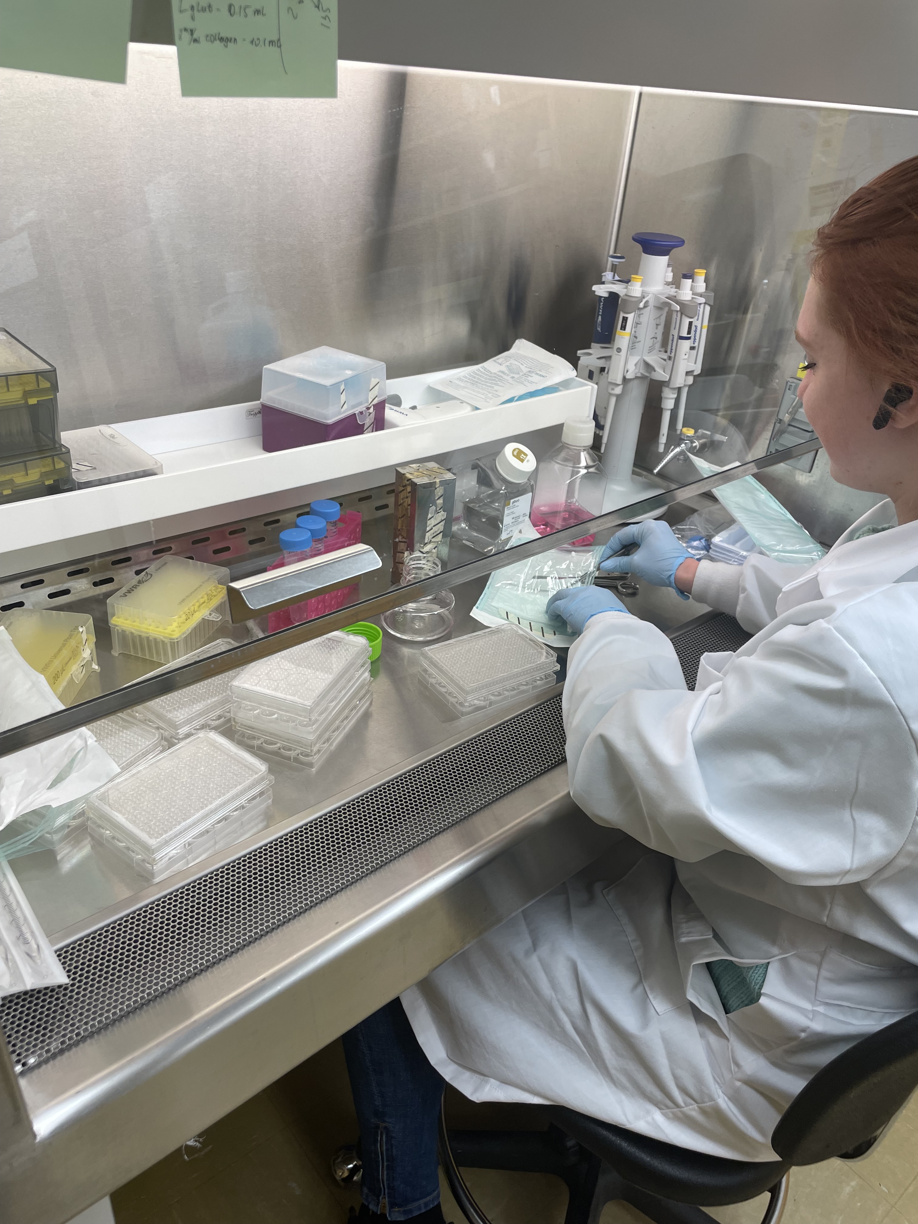 Research Opportunities | LEUNG LAB @ Dalhousie
